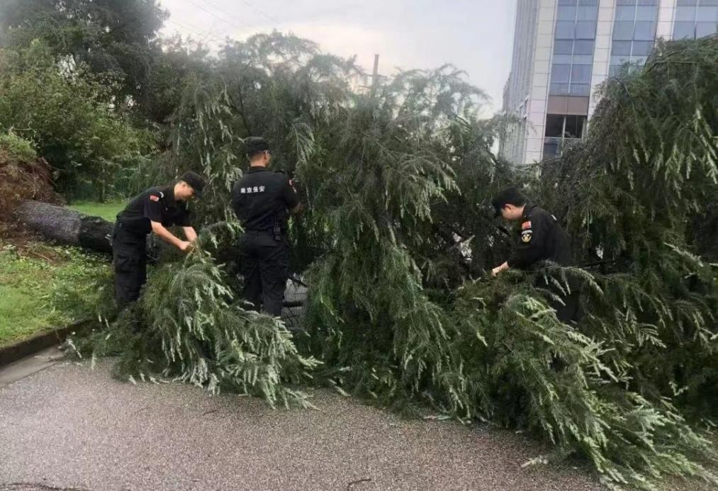 C:/Users/BA/Desktop/風(fēng)雨過后南京保安迅速行動,恢復(fù)安“寧”面貌/1.jpg1