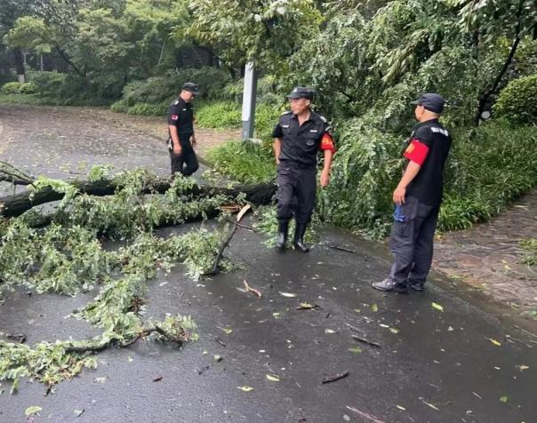 C:/Users/BA/Desktop/風(fēng)雨過后南京保安迅速行動,恢復(fù)安“寧”面貌/7.jpg7